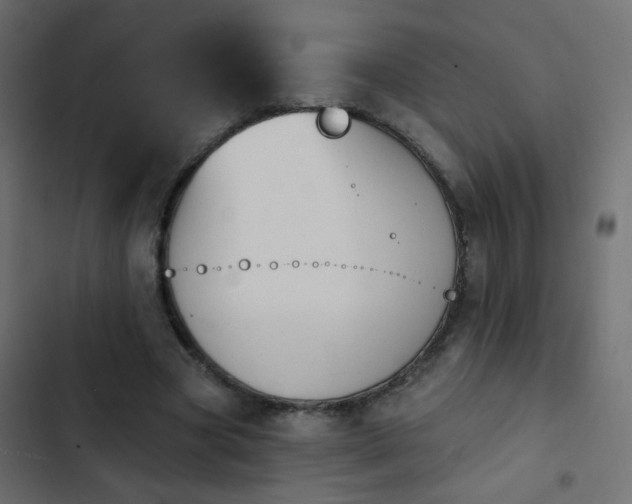 X0000103950537200809261750