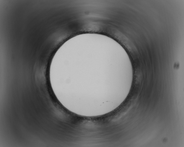 X0000103950538200809261750