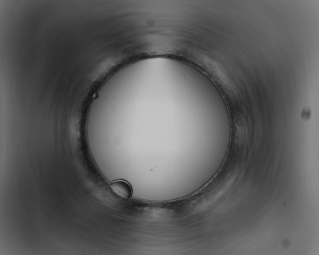 X0000103950539200809261750