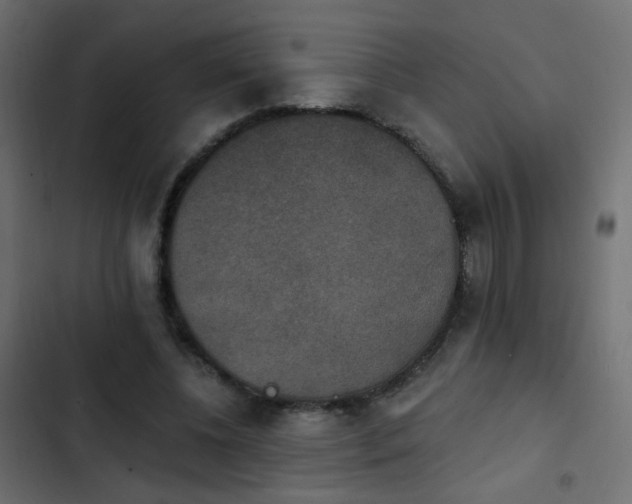 X0000103950540200809261750