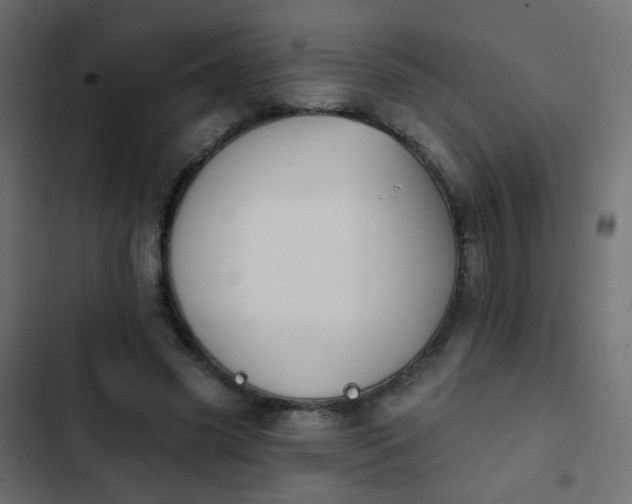 X0000103950541200809261750