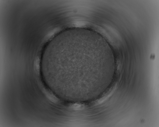 X0000103950542200809261750