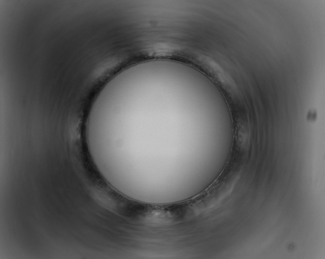 X0000103950543200809261751