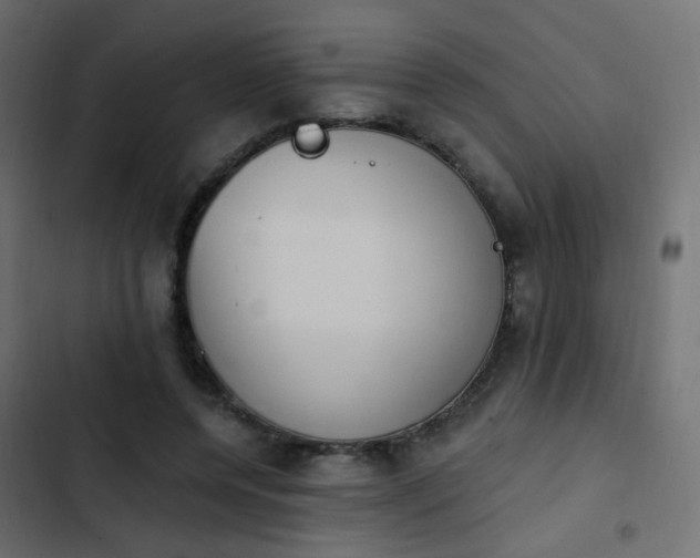 X0000103950544200809261751