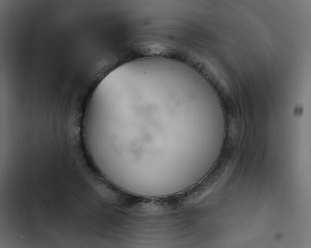 X0000103950545200809261751