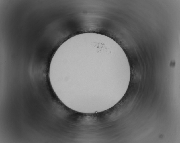 X0000103950546200809261751