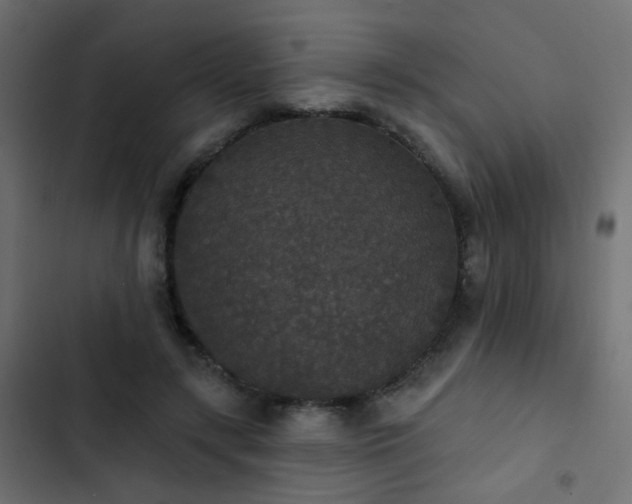 X0000103950547200809261751