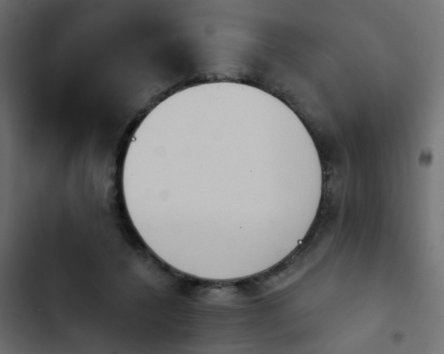 X0000103950548200809261751