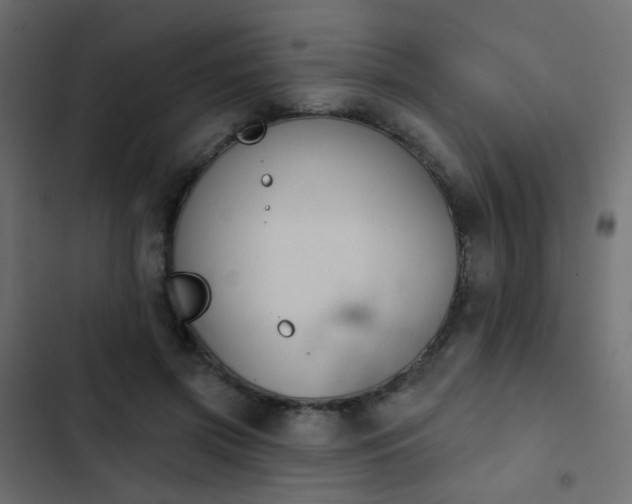 X0000103950549200809261751