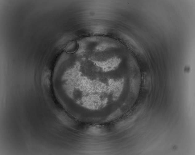 X0000103950550200809261751