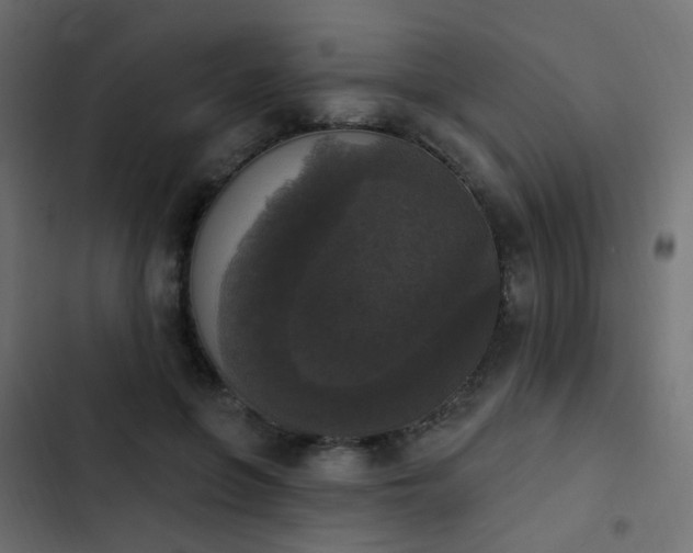 X0000103950551200809261751