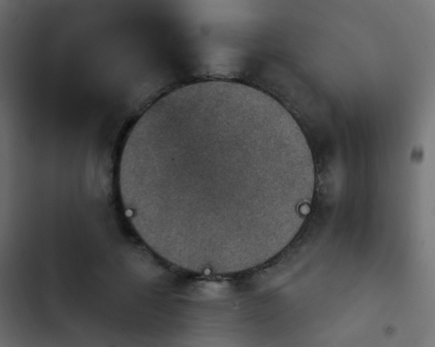 X0000103950552200809261751