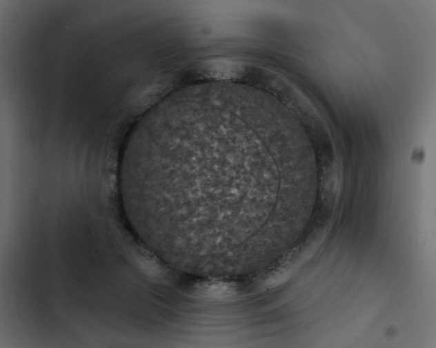 X0000103950553200809261751