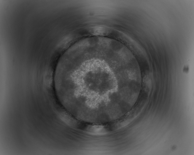 X0000103950554200809261751