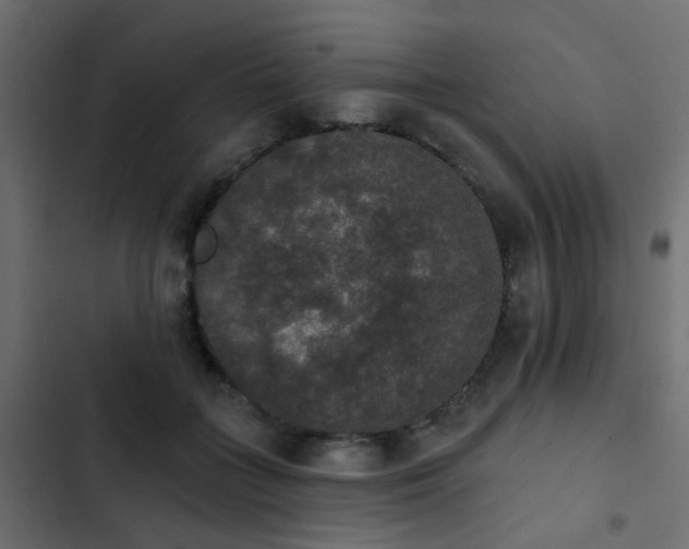 X0000103950555200809261751