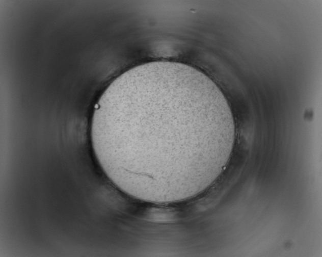 X0000103950556200809261751