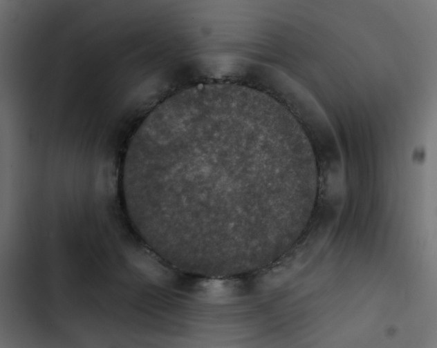 X0000103950558200809261751