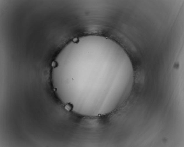 X0000103950560200809261751