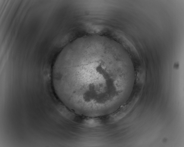 X0000103950561200809261751