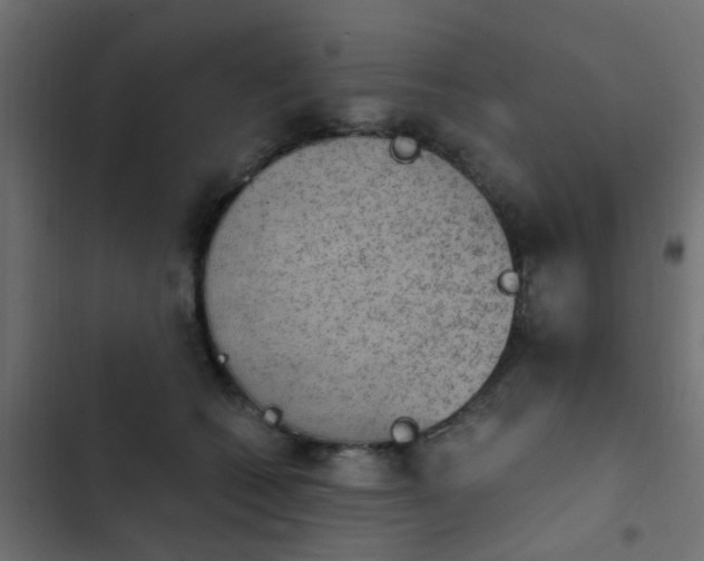 X0000103950562200809261751