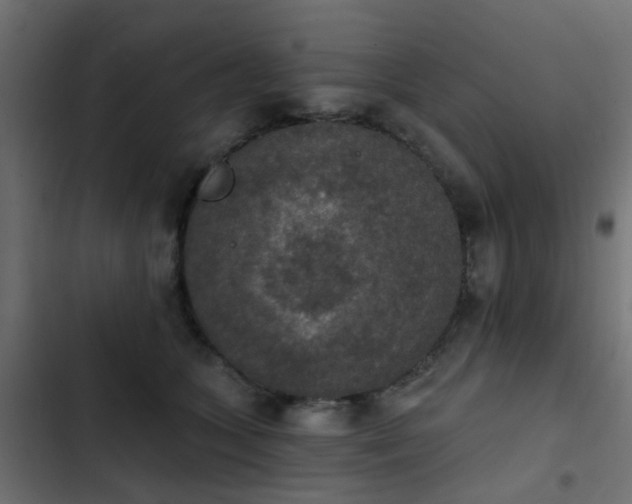 X0000103950563200809261751