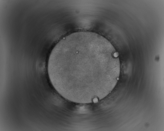 X0000103950564200809261751