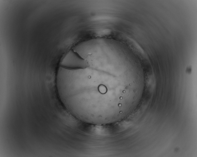 X0000103950565200809261751