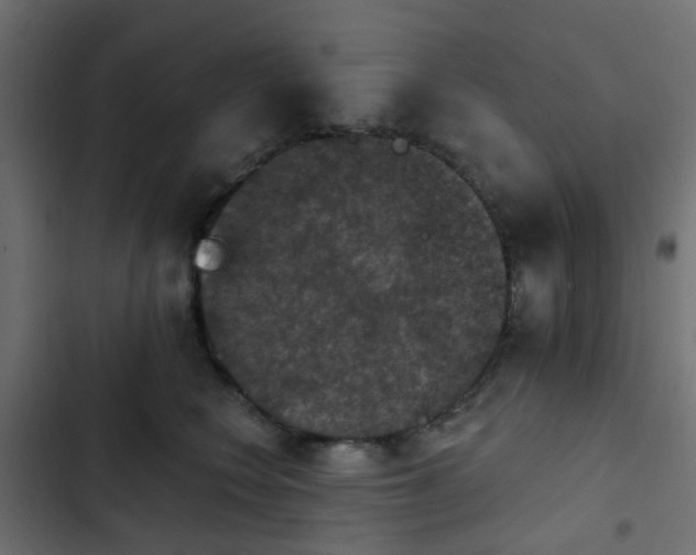 X0000103950566200809261751