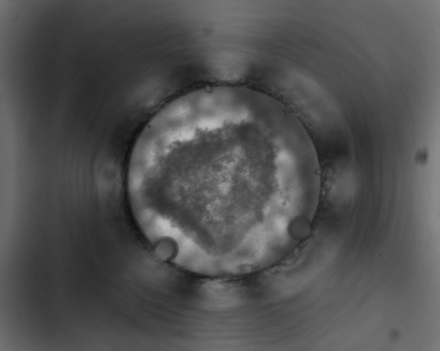 X0000103950568200809261751