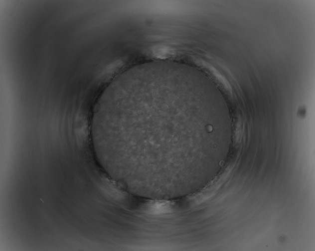 X0000103950569200809261751