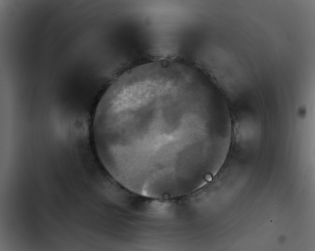 X0000103950570200809261751