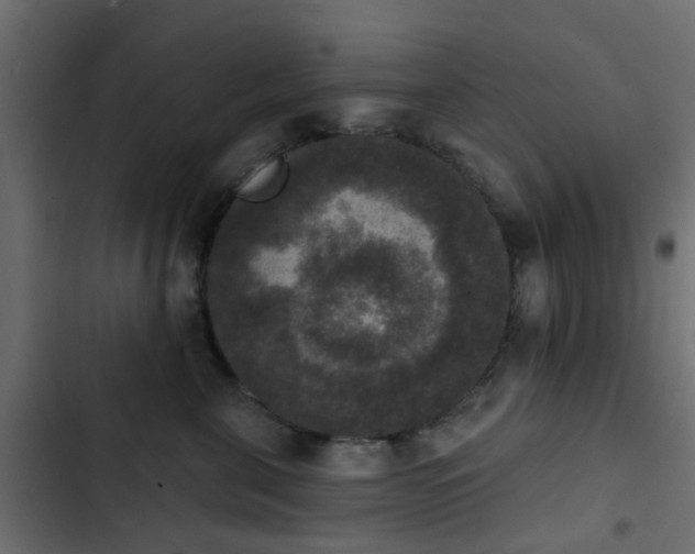 X0000103950571200809261751