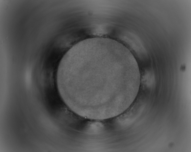 X0000103950572200809261751