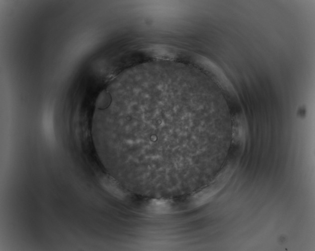 X0000103950573200809261751