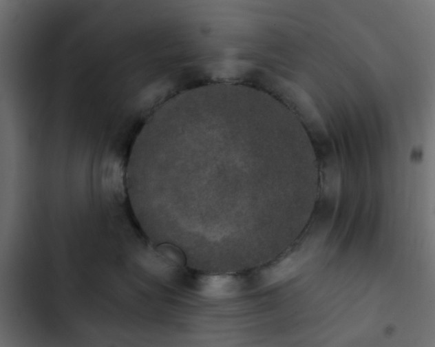 X0000103950575200809261751