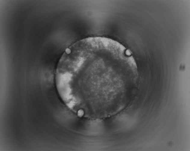 X0000103950576200809261751