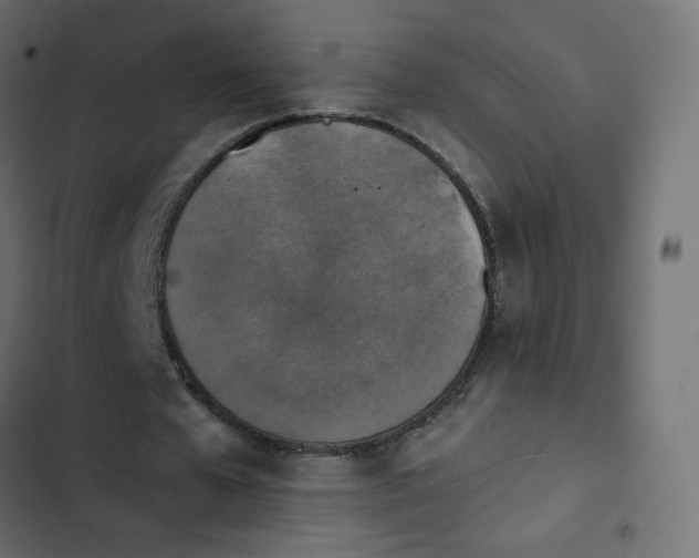 X0000103950577200809261750