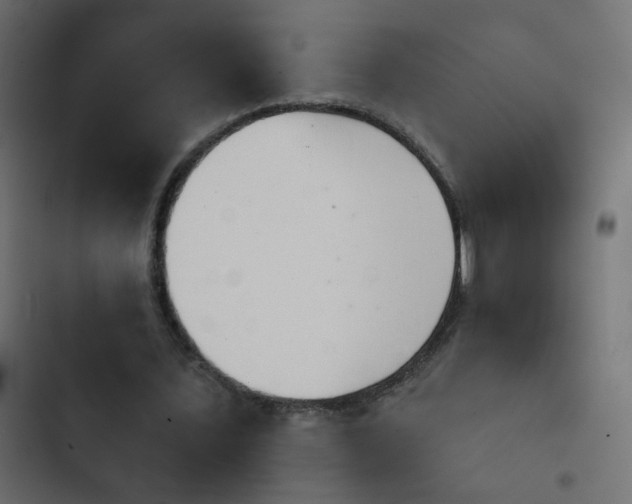 X0000103950579200809261750