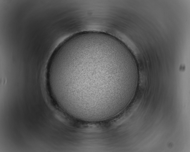 X0000103950580200809261750