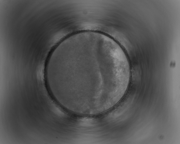 X0000103950581200809261750