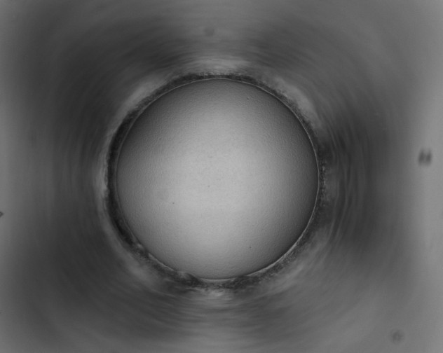 X0000103950582200809261750