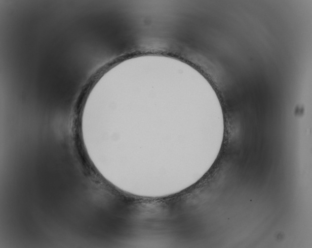 X0000103950583200809261750