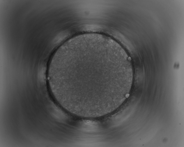 X0000103950585200809261750