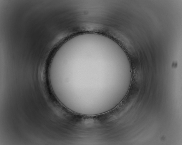 X0000103950587200809261750