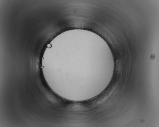 X0000103950589200809261750