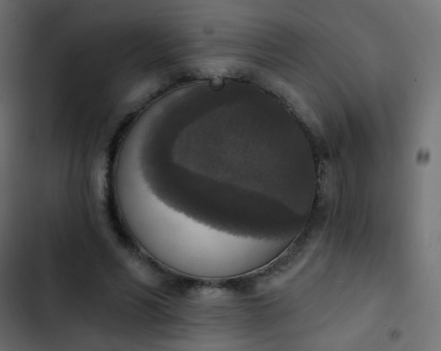 X0000103950590200809261750