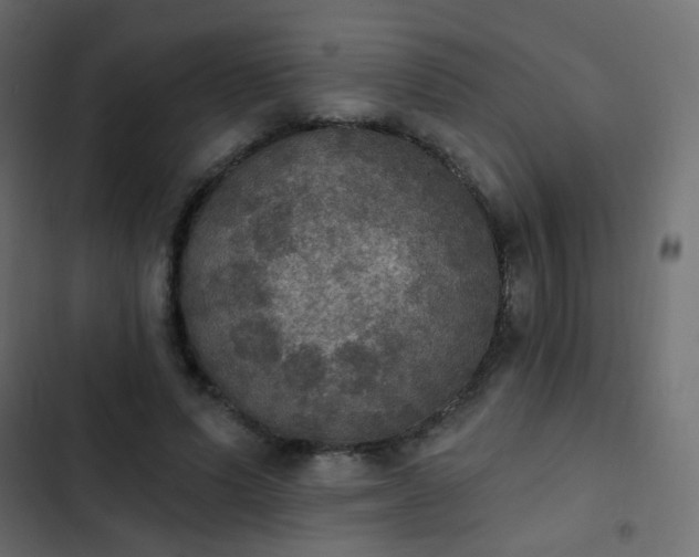 X0000103950591200809261750