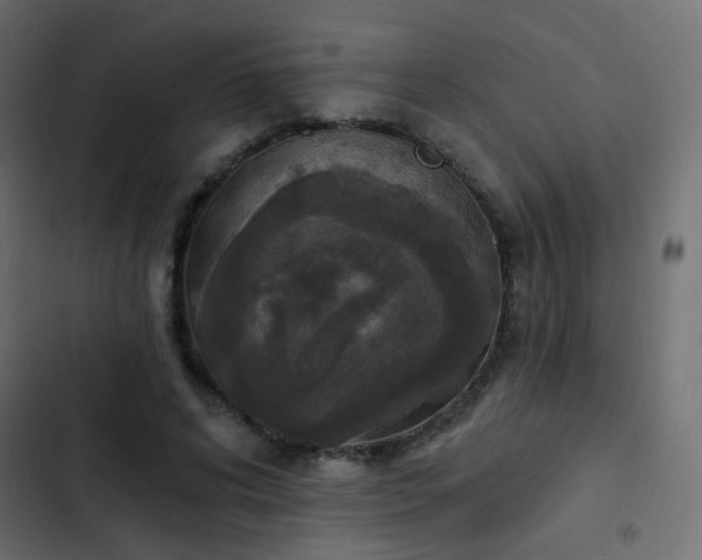 X0000103950592200809261750