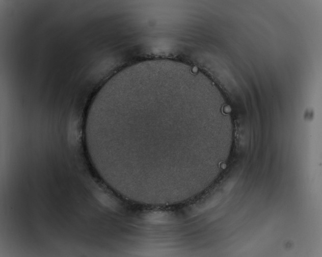 X0000103950593200809261750