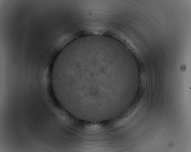 X0000103950594200809261750